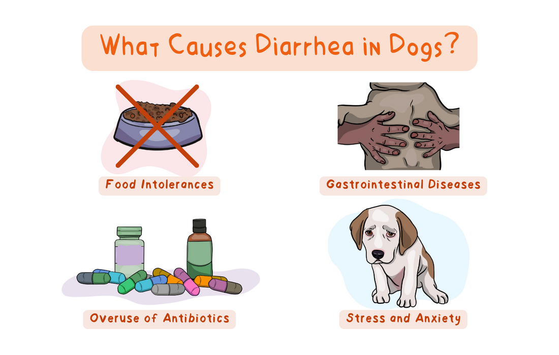 Everybody poops! So let’s we talk about diarrhea 🤭