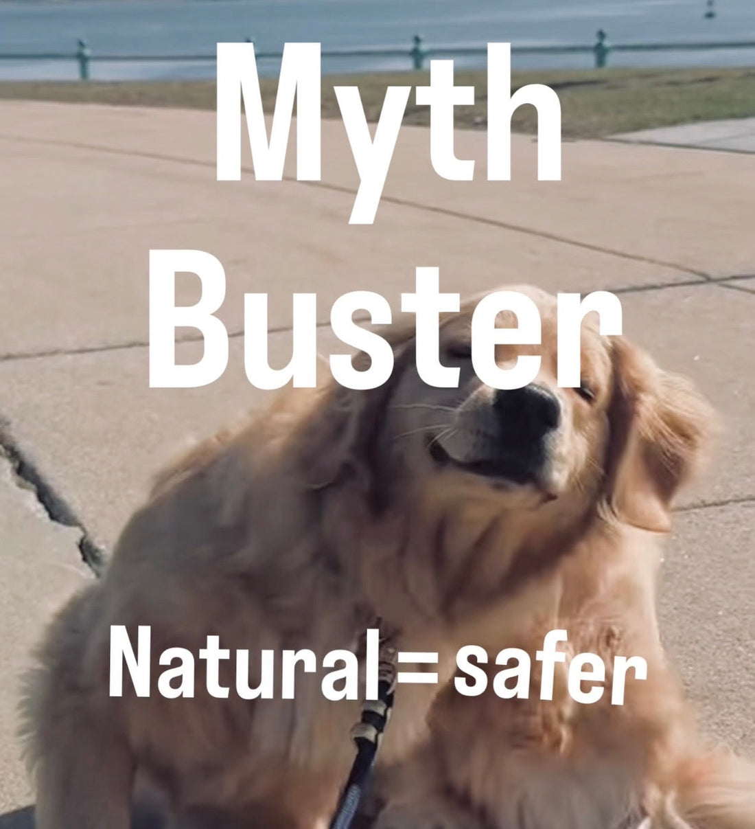 Are natural pet products really better than prescription?