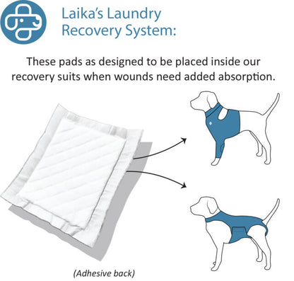 Absorbent Body Pad 6-Pack