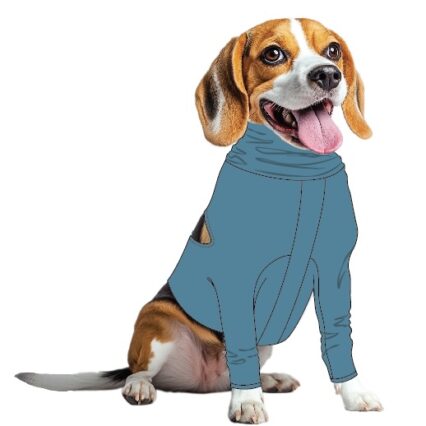 dog recovery shirt